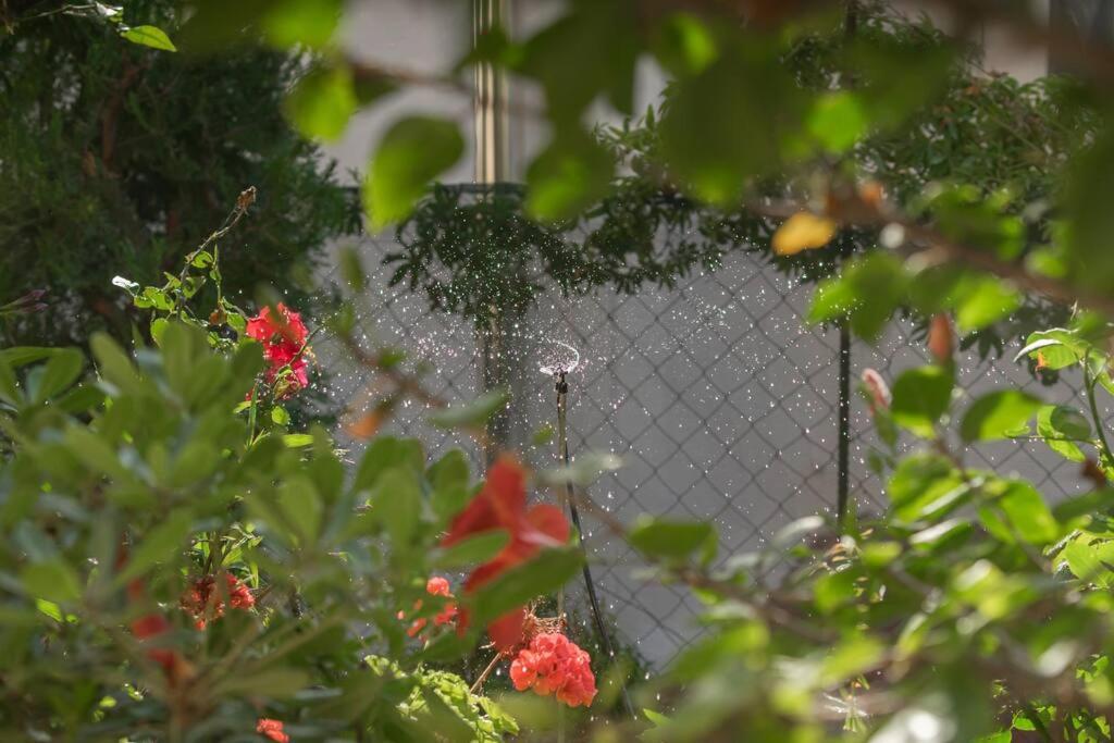 Mulberry Tree Villa Agios Nikolaos  Exterior photo